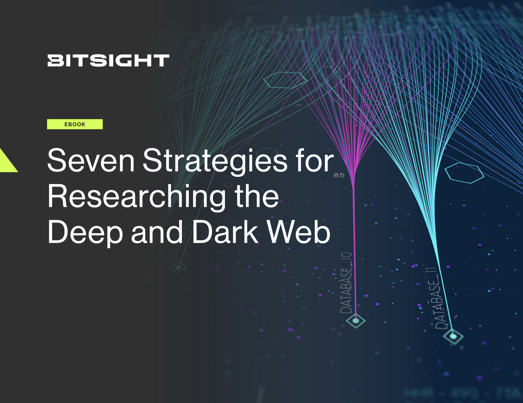 Bitsight-Ebook4