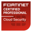 Cloud Security rot 500x500