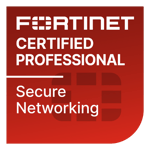 Secure Networking rot 500x500