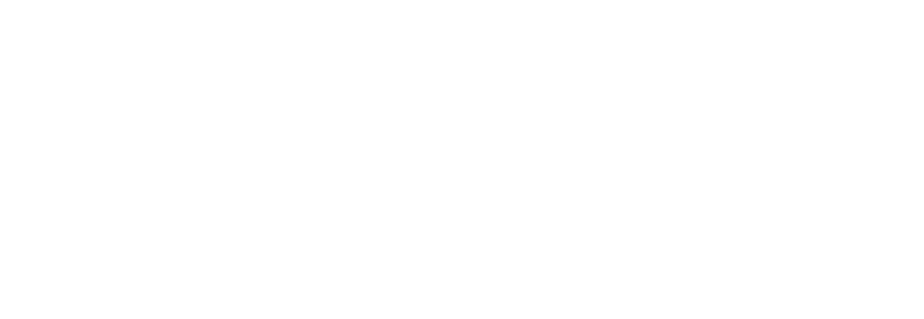 DACH - Exclusive Networks - Logo - white