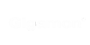 DACH - Gigamon - Logo - white