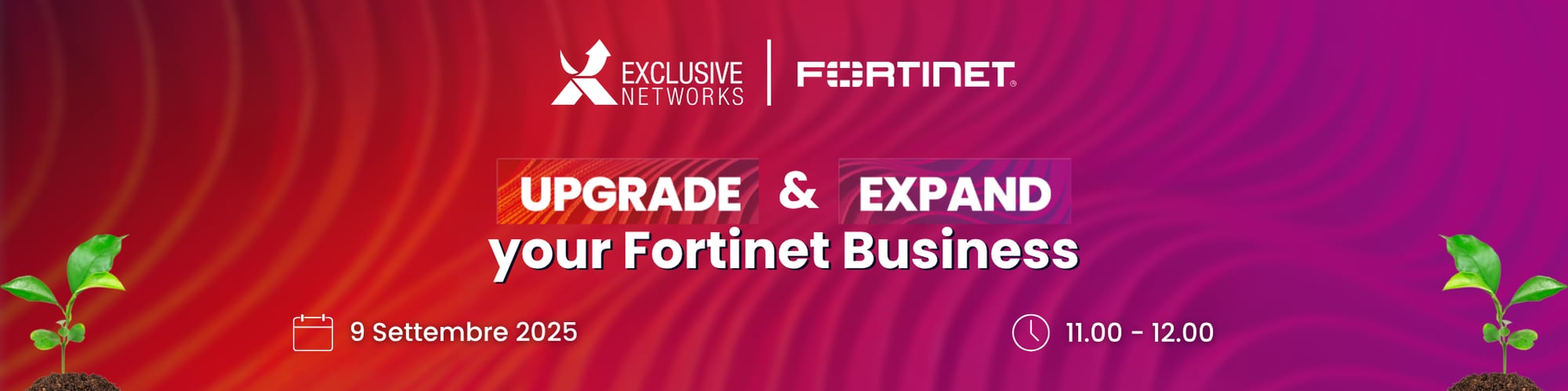 IT_For_Webinar_UgpradeExpand_sett2025_LP