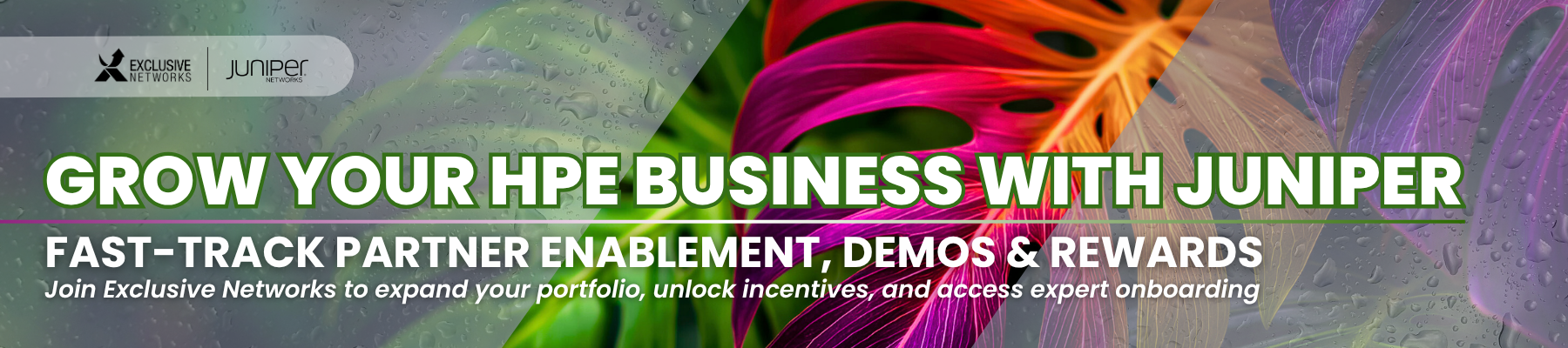 New Dont Miss Out Header 11.10 (3)