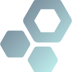 DACH - EXN - Icon - Specialist - silver