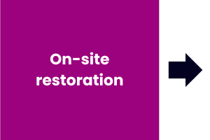 DACH-EXN-Professional Services-4-EN DACH-EXN-Professional Services-4-EN