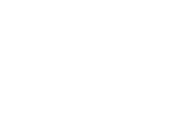 Zero Networks Logo
